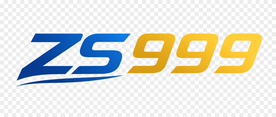 ZS 999